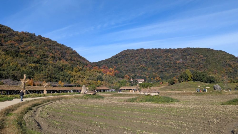 ラ コリーナ近江八幡敷地内は紅葉もきれいで散歩もできるので、休憩がてら立ち寄るのにぴったりでした。